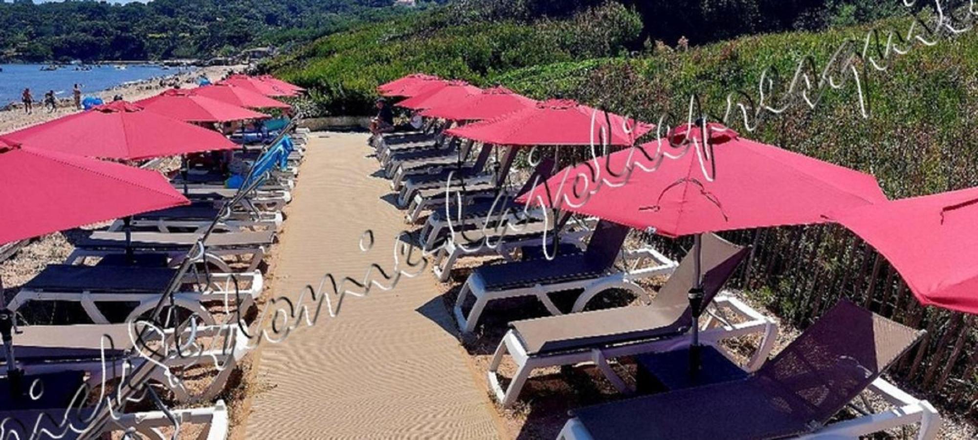 Magnifique Parc De La Presqu'Ile Avec Piscine Et Plage Face A Porquerolles ! Hyères Dış mekan fotoğraf