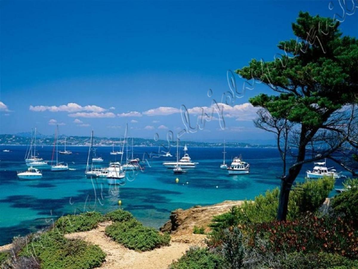 Magnifique Parc De La Presqu'Ile Avec Piscine Et Plage Face A Porquerolles ! Hyères Dış mekan fotoğraf