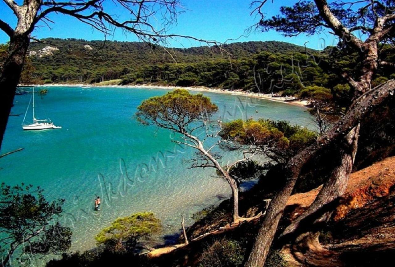 Magnifique Parc De La Presqu'Ile Avec Piscine Et Plage Face A Porquerolles ! Hyères Dış mekan fotoğraf
